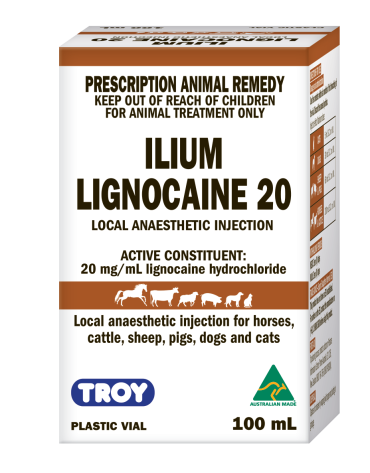 Ilium Lignocaine