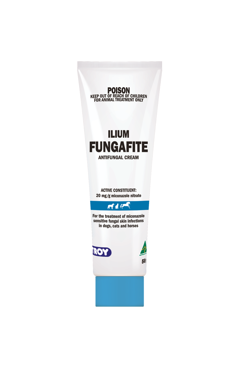 Ilium Fungafite